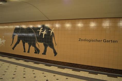 hit zoologischer garten